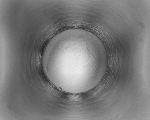 X0000115800230200912041540