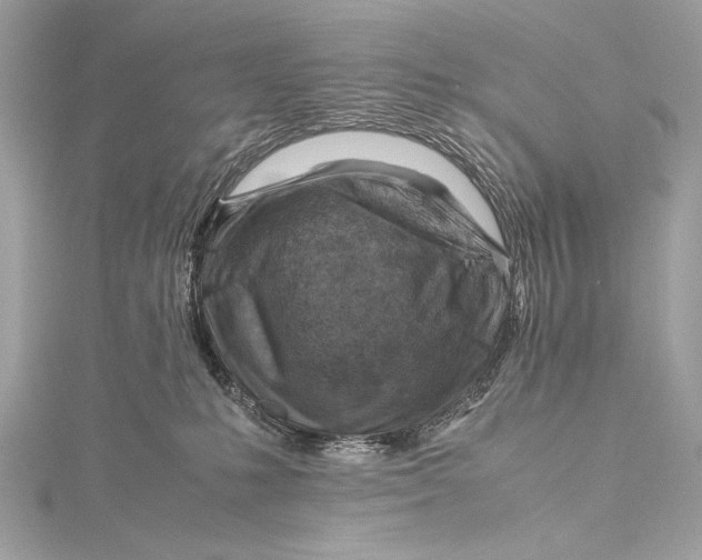 X0000115800231200912041540