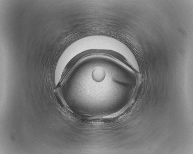 X0000115800233200912041540