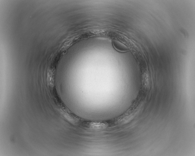 X0000115800234200912041540