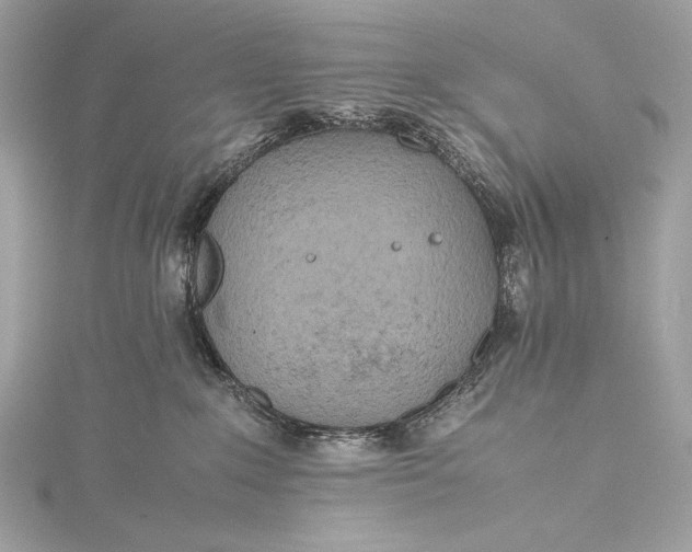 X0000115800235200912041540