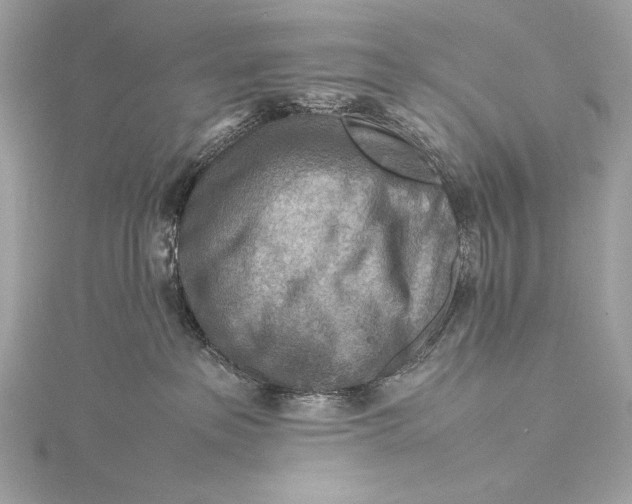 X0000115800237200912041540