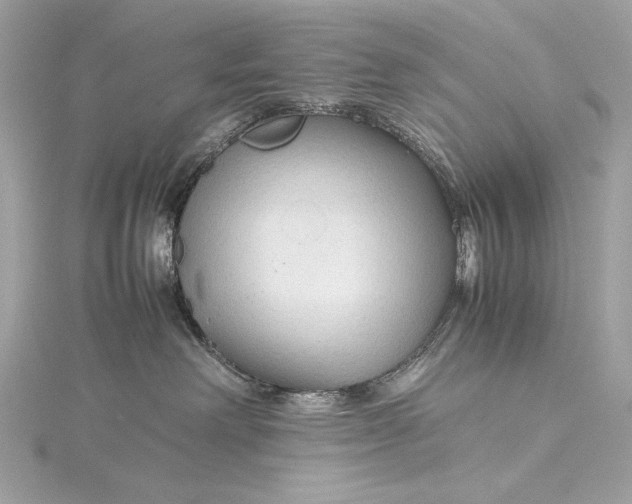 X0000115800238200912041540