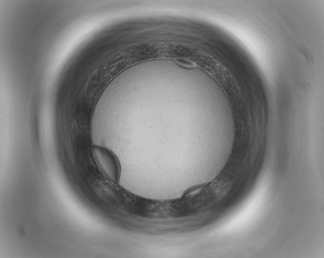 X0000115800239200912041540