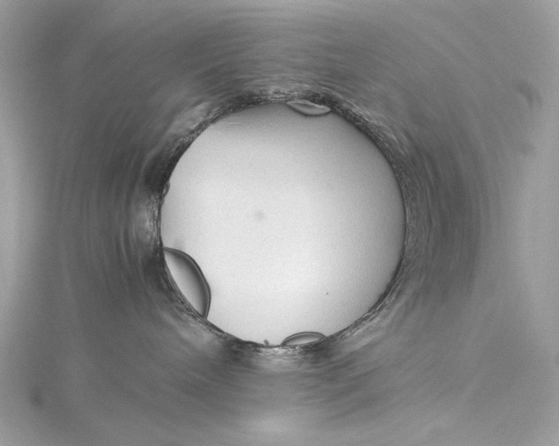 X0000115800240200912041540