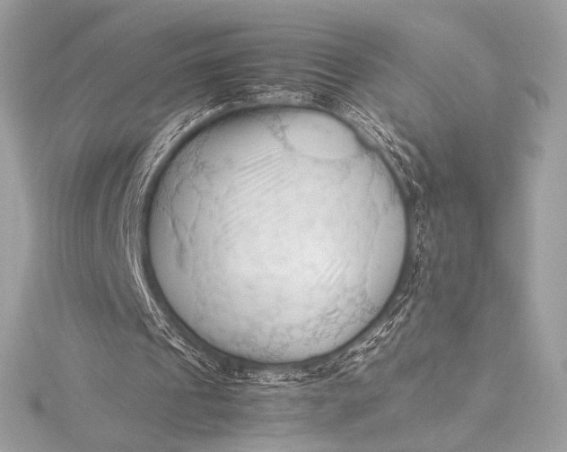 X0000115800241200912041539