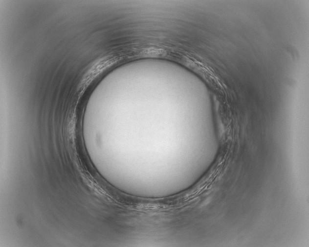 X0000115800242200912041539