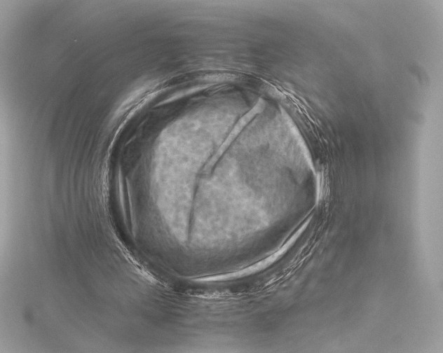 X0000115800243200912041539