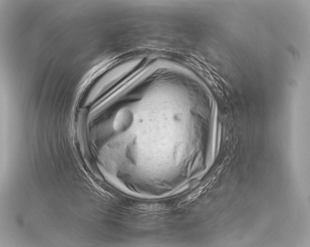 X0000115800245200912041539