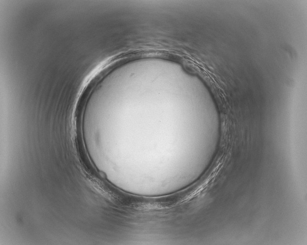 X0000115800246200912041539