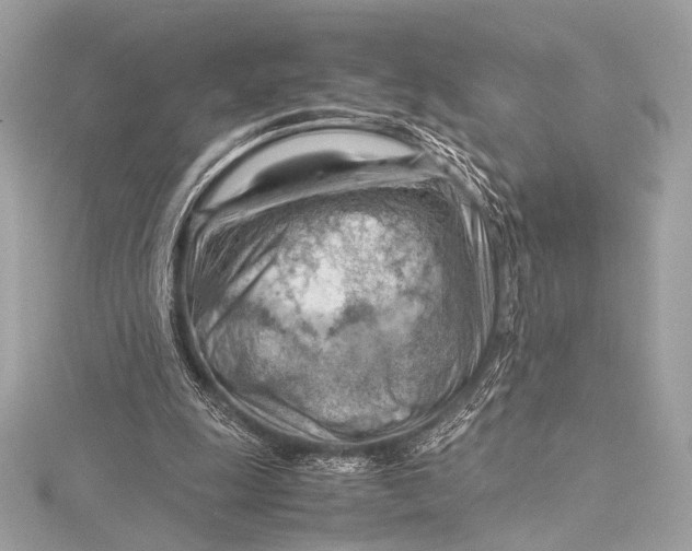 X0000115800247200912041539