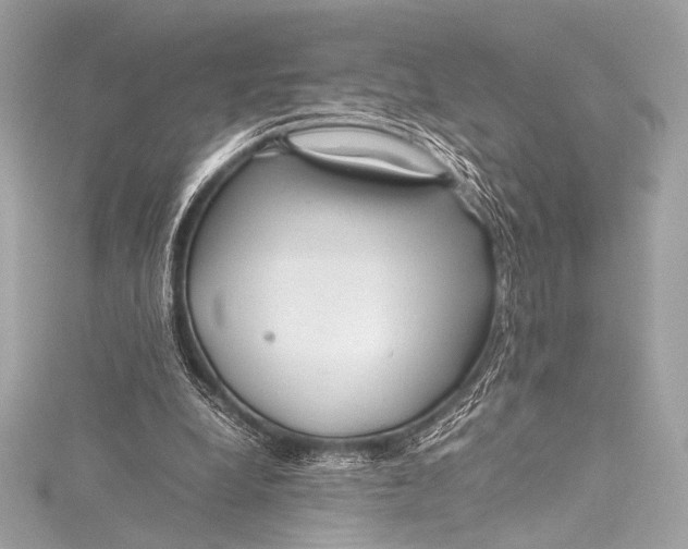 X0000115800248200912041539