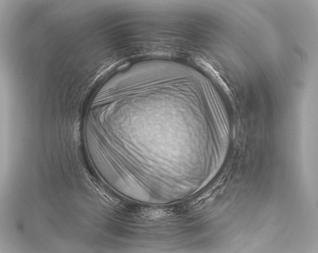 X0000115800249200912041539