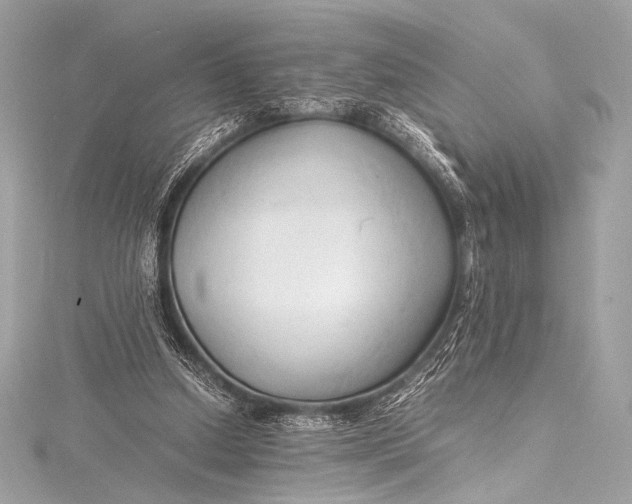 X0000115800250200912041539