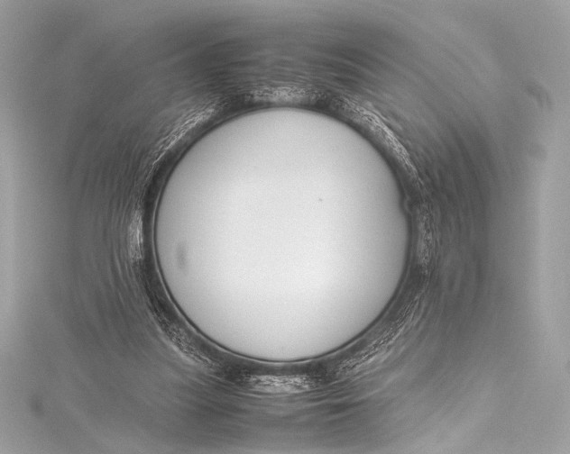 X0000115800251200912041539