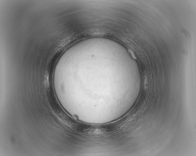 X0000115800254200912041539