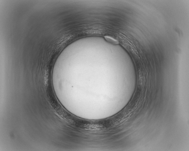 X0000115800255200912041539