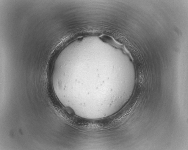 X0000115800256200912041539