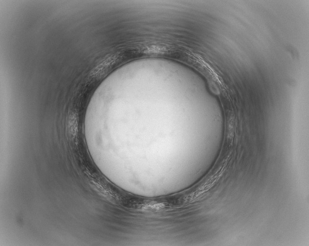 X0000115800257200912041539