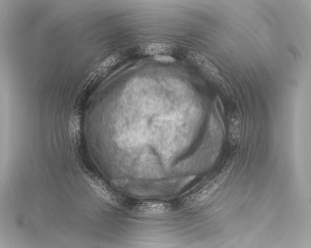 X0000115800260200912041539