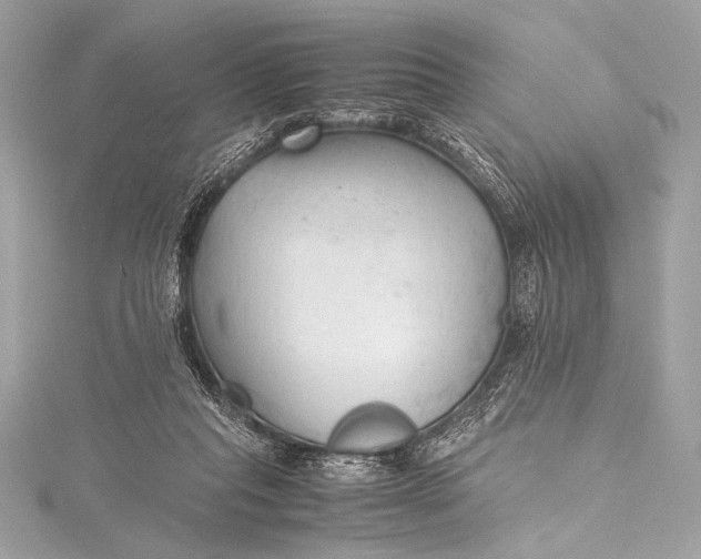 X0000115800261200912041539