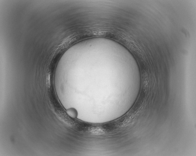 X0000115800262200912041539