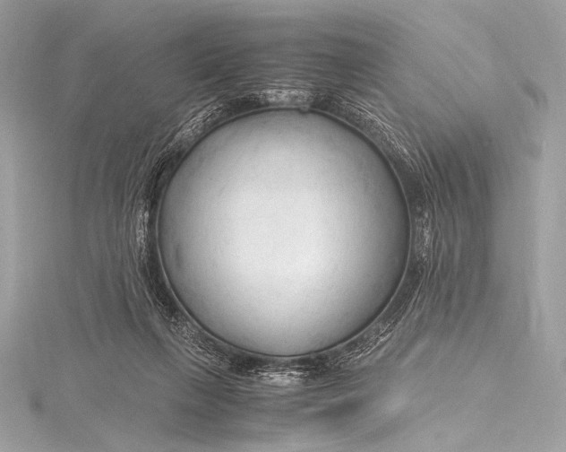 X0000115800263200912041539