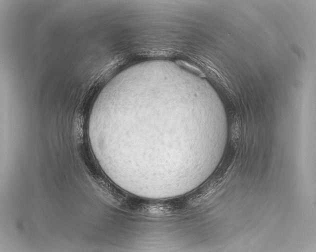 X0000115800264200912041539