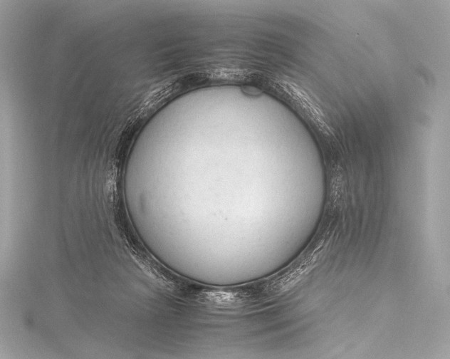 X0000115800265200912041539