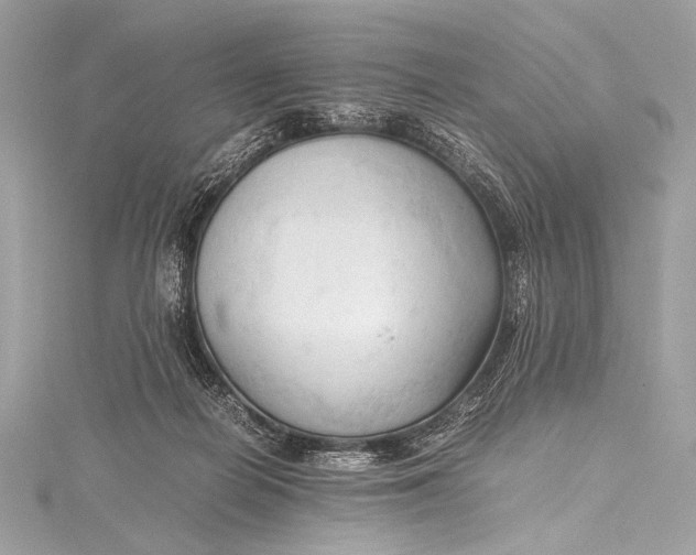 X0000115800266200912041539