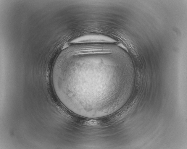 X0000115800269200912041539