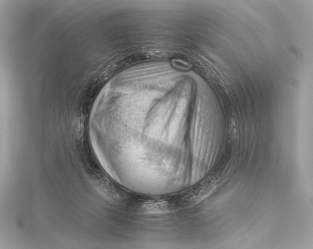 X0000115800271200912041539