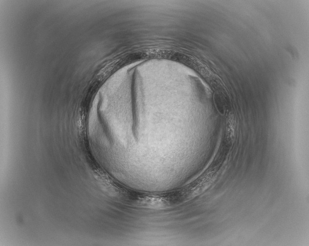 X0000115800276200912041539