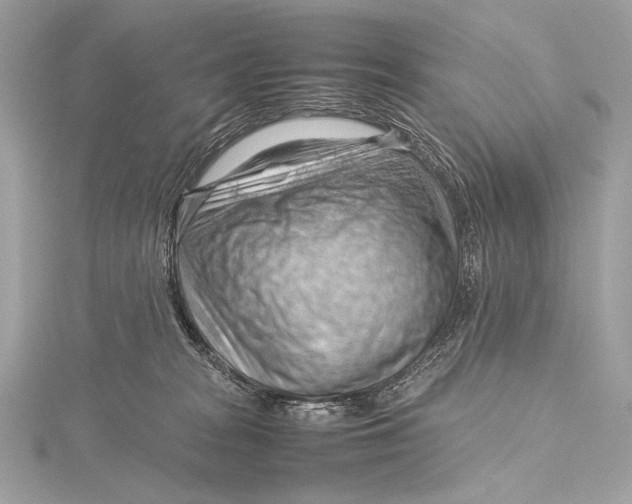 X0000115800277200912041540