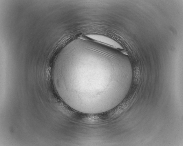 X0000115800278200912041540