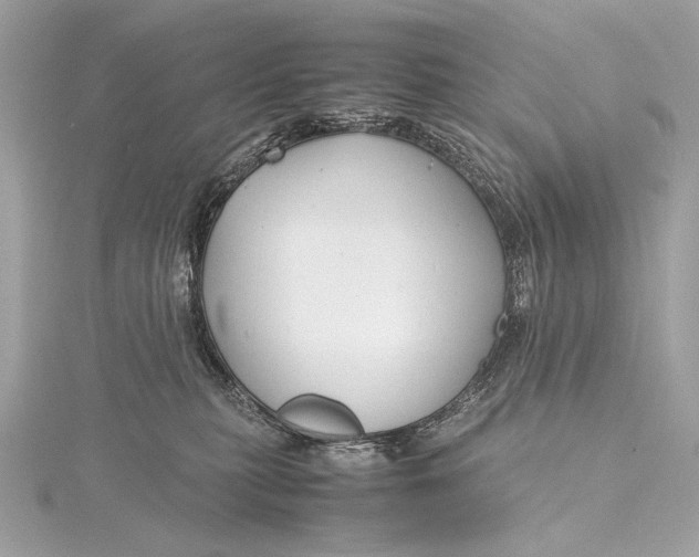 X0000115800279200912041540