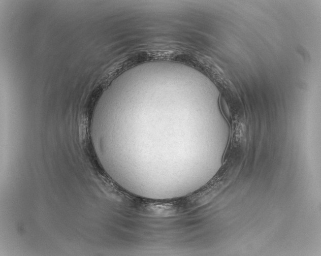 X0000115800283200912041540