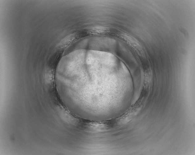 X0000115800284200912041540