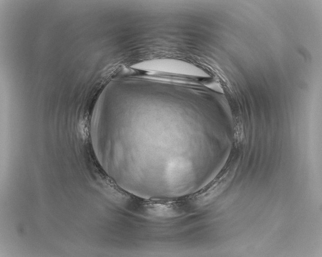 X0000115800285200912041540