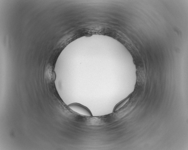 X0000115800287200912041540