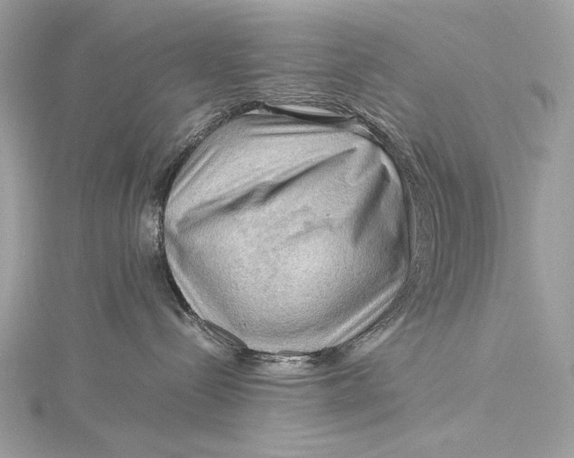 X0000115800288200912041540