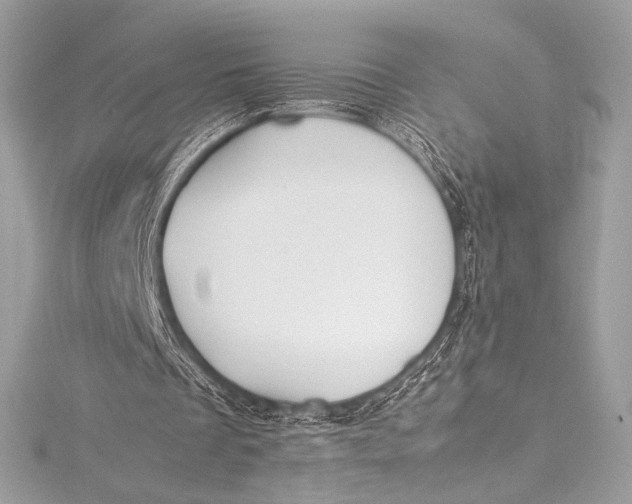 X0000115800289200912041539