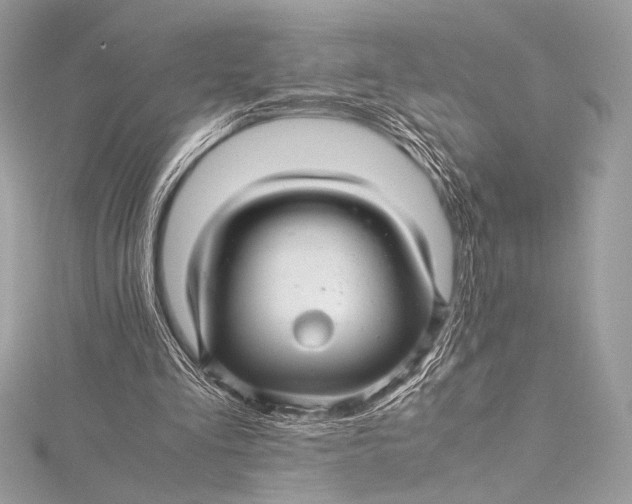 X0000115800293200912041539