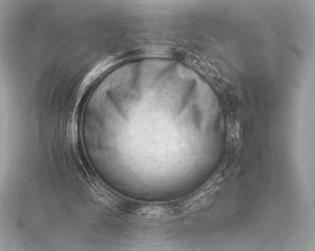 X0000115800294200912041539