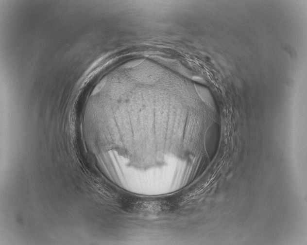 X0000115800295200912041539