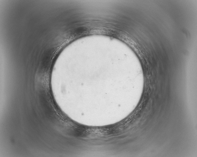 X0000115800297200912041539