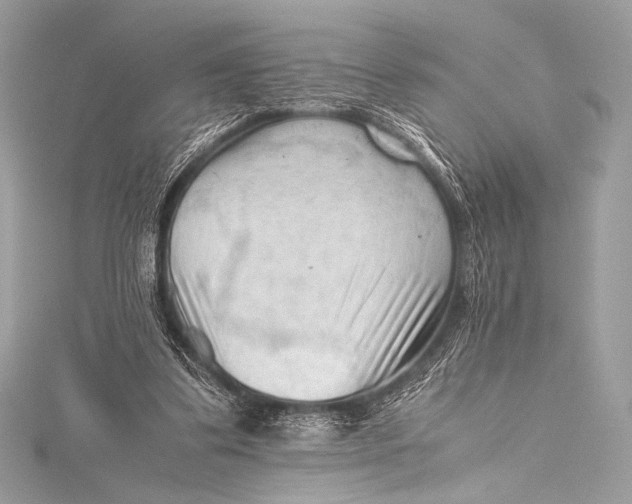 X0000115800299200912041539