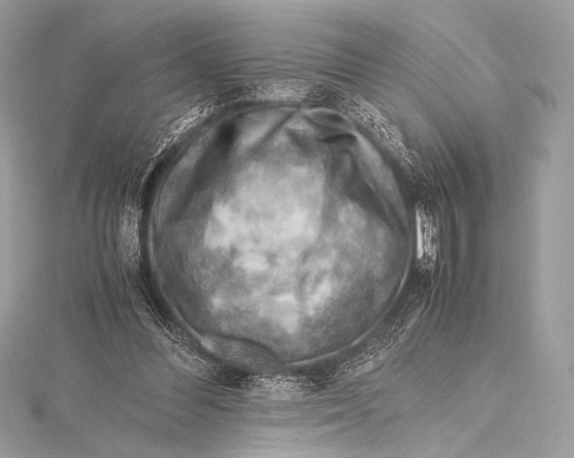 X0000115800300200912041539