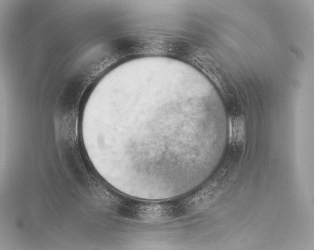 X0000115800301200912041539