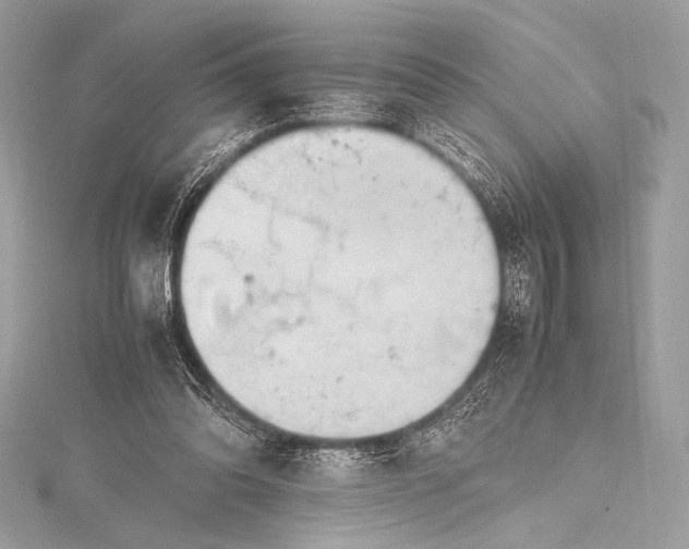 X0000115800302200912041539